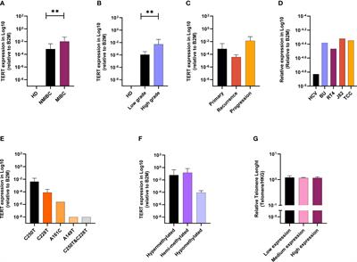 Immune Checkpoint and Telomerase Crosstalk Is Mediated by miRNA-138 in Bladder Cancer